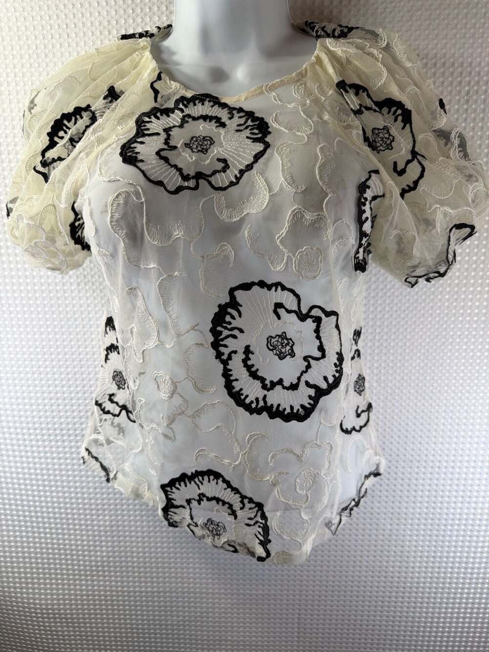 Express Floral Embroidered Puff Sleeve Mesh Blouse - Picture 1 of 3